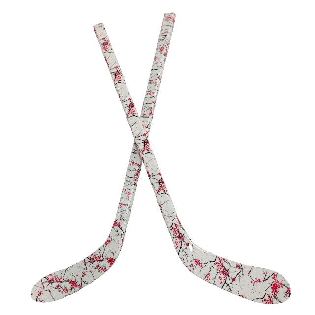 Ensemble de bâtons de Hockey s - Kids Outdoor Ideas avis et prix